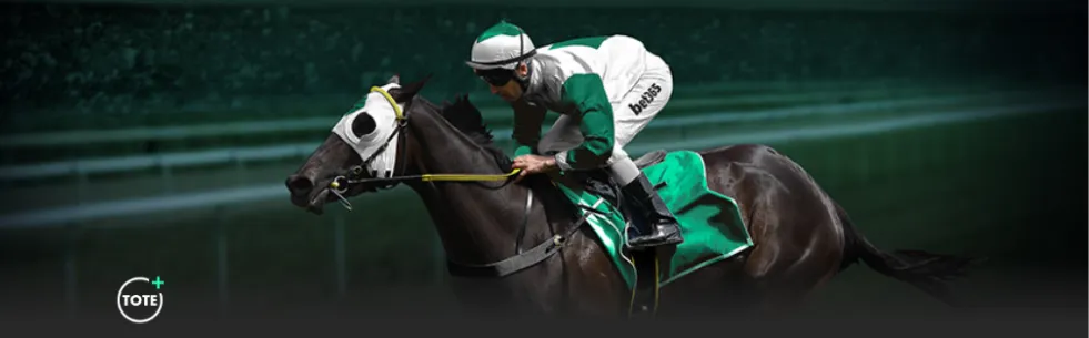 国足迎战澳,大利亚主场,之战,星空体育官网,星空体育App,星空体育直播,星空体育平台,星空体育娱乐