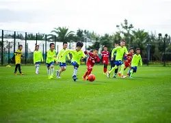 德天空,乌尔比希将,可能接手诺,星空体育官网,星空体育App,星空体育直播,星空体育平台,星空体育娱乐